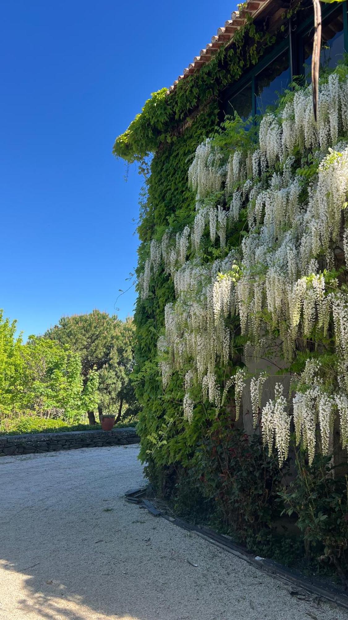 ホテル Casa De Sao Miguel Douro アルママール 部屋 写真